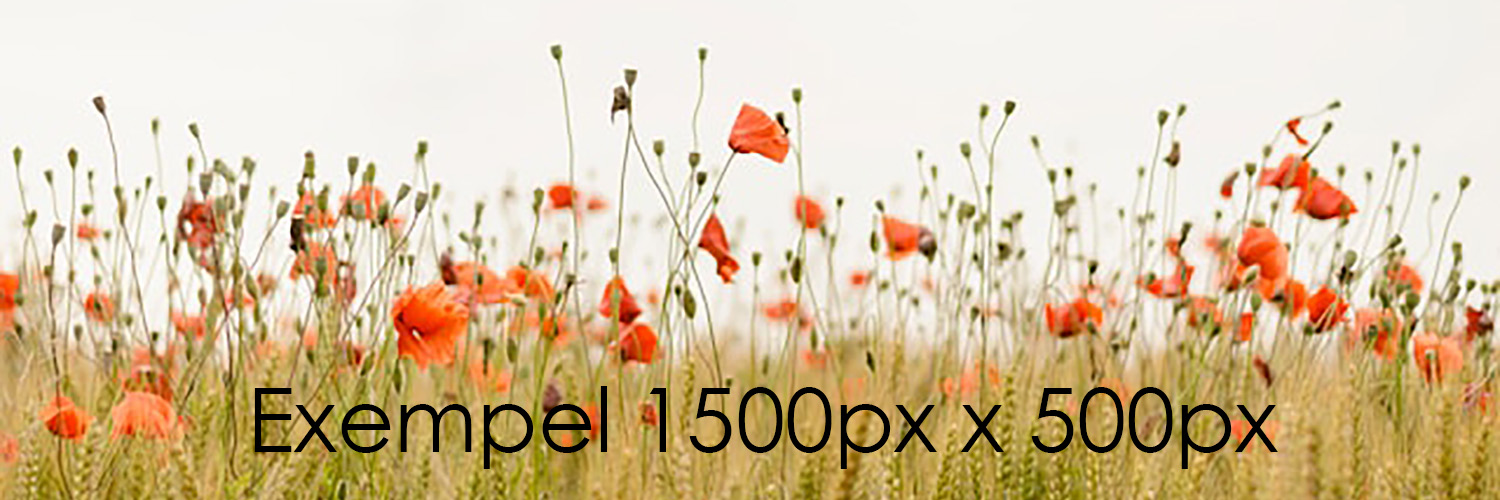 Blomsteräng med texten 'Exempel 1500px x 500px'